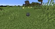 Silverfish (Image via Minecraft)